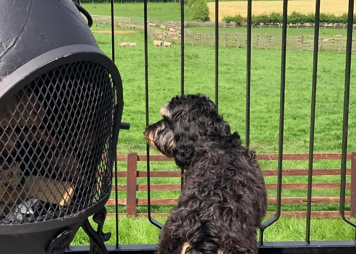 Burtree Country House With Secluded Hot Tubs *